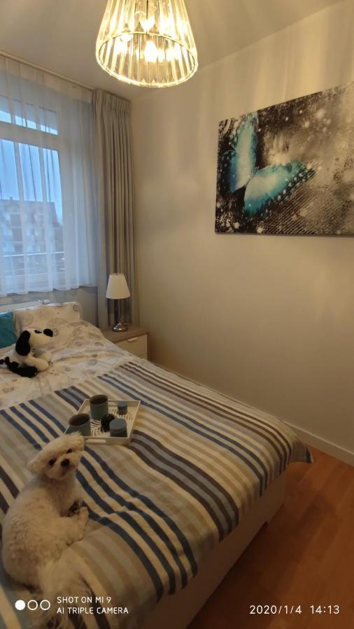 Fregata Appartement Jastrzębia Góra Buitenkant foto